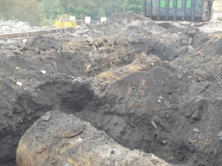 Land Remediation